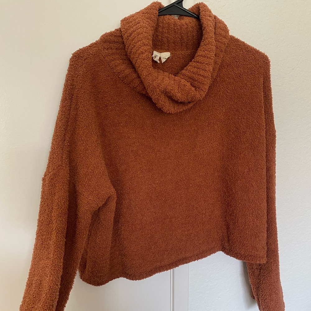 soft sky and sparrow turtle neck cropped sweater